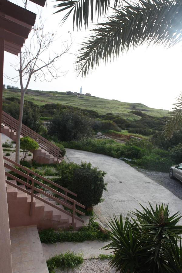 Ariadne Apt 103 -300M From Lighthouse Beach Paphos Exterior photo
